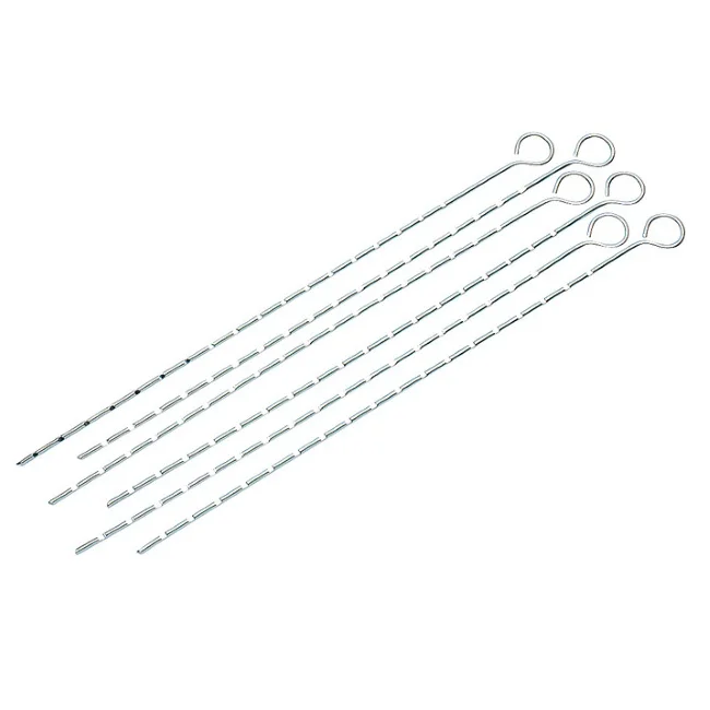 Campingaz ražnjići za roštilj 64010 Campingaz ražnjići za roštilj 64010