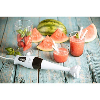 Adler set mikser 3u1 AD4605-2 Adler set mikser 3u1 AD4605-2