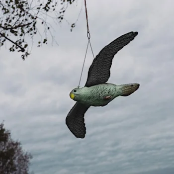 Bradas rasterivač ptica soko u letu CTRL-BR104-1 Bradas rasterivač ptica soko u letu CTRL-BR104-1