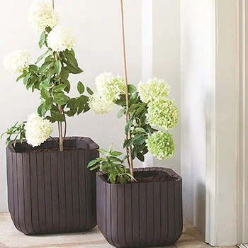 Saksija Cube L 50,5L CU 229533 -1