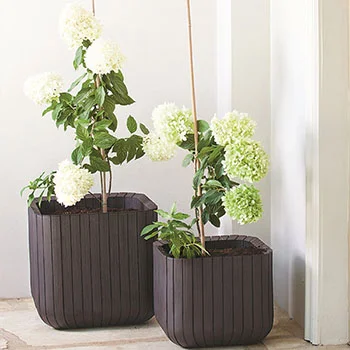 Saksija Cube M 21,5L CU 230226 -1 Saksija Cube M 21,5L CU 230226 -1