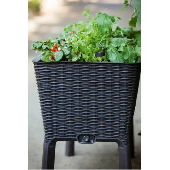 Curver saksija za mini baštu Easy Grow 120l Grafit-1 Curver saksija za mini baštu Easy Grow 120l Grafit-1