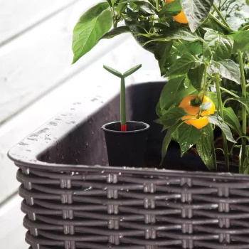 Curver saksija za mini baštu Easy Grow 120l Grafit-3