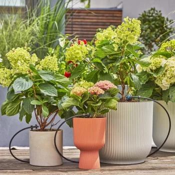 Gardena balkonski set za navodnjavanje 25m GA 13401-20-3 Gardena balkonski set za navodnjavanje 25m GA 13401-20-3