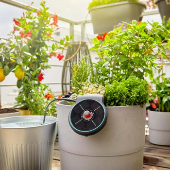 Gardena kap po kap SET za zalivanje Aquabloom Solar GA 13300-20-3