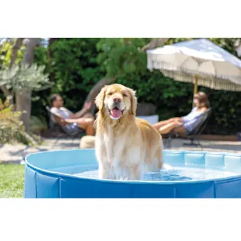 Intex bazen za kućne ljubimce 1.52x0.3m 48400NP-3 Intex bazen za kućne ljubimce 1.52x0.3m 48400NP-3