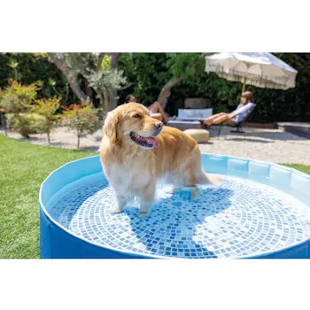 Intex bazen za kućne ljubimce 1.52x0.3m 48400NP-4 Intex bazen za kućne ljubimce 1.52x0.3m 48400NP-4