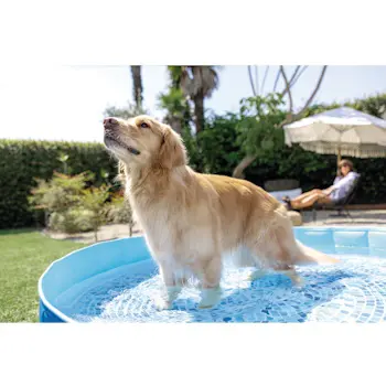 Intex bazen za kućne ljubimce 1.52x0.3m 48400NP-5 Intex bazen za kućne ljubimce 1.52x0.3m 48400NP-5