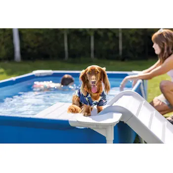 Intex bazen za kućne ljubimce sa filtracijom i rampom za kućne ljubimce 229cmx152cmx46cm 48404NP-4