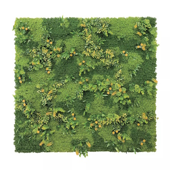 Nortene zeleni zid Tundra 1x1m 2020020