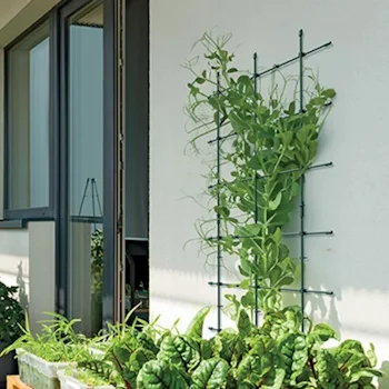 Prosperplast držač za cveće IFLS3-G851-1