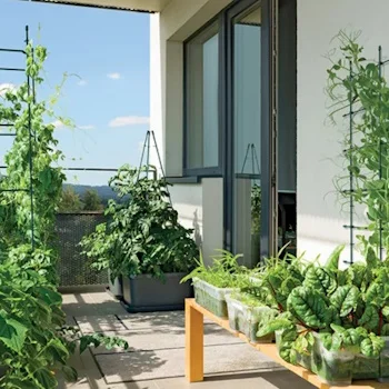 Prosperplast držač za cveće IFLS7-G851-1