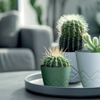 Saksija Areco E200 Crvena-1 Saksija Areco E200 Crvena-1