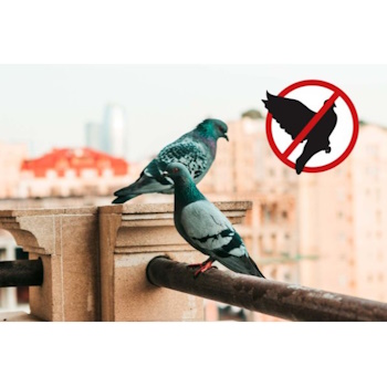 Stocker geyser nebulizer 2l protiv golubova A409-3 Stocker geyser nebulizer 2l protiv golubova A409-3