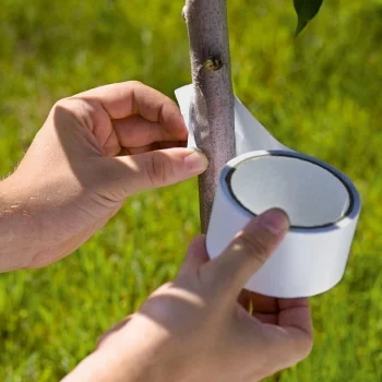 Stocker lepljiva traka za stabla A45118 Stocker lepljiva traka za stabla A45118