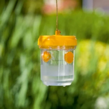 Stocker hvatač insekata A21049-1 Stocker hvatač insekata A21049-1