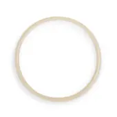 Intex okrugli dihtung za filter pumpu 11919