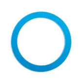 Intex okrugli pljosnati dihtung za automatski čistač bazena 11752