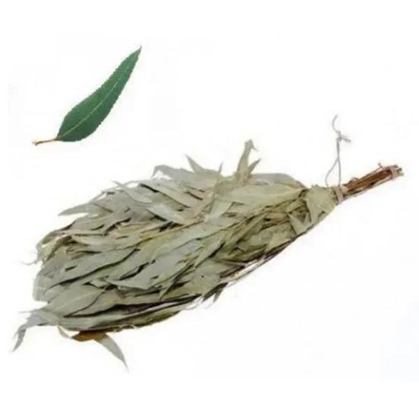 Saunske grančice Eukaliptus Saunske grančice Eukaliptus