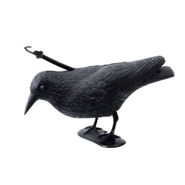 Stocker rasterivač ptica vrana A4539-1