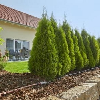 Gardena kap po kap Start SET podzemni 50m GA 01389-20 -1